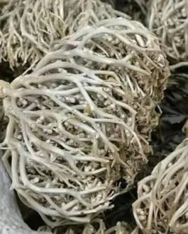 Maryam Flower – মারিয়াম ফুল